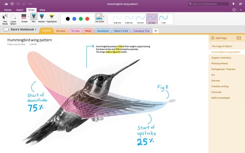 onenote evernote typing