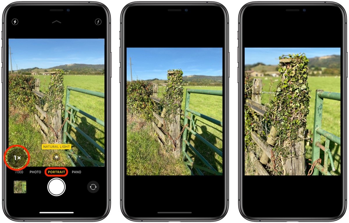 Отзеркаливание фото айфон How to Switch Focal Lengths in Portrait Mode on iPhone 11 Pro MacRumors Forums