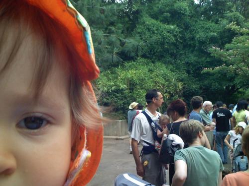 iphonephoto2_500.jpg