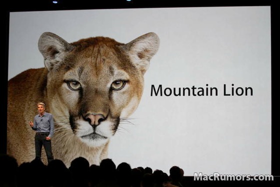 mountainlion560