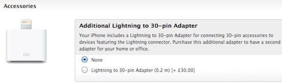 lightning 30 pin included