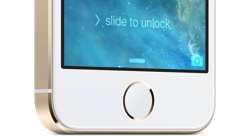 iPhone 5s Home Button