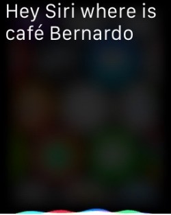 How to use Hey Siri Apple Watch 1