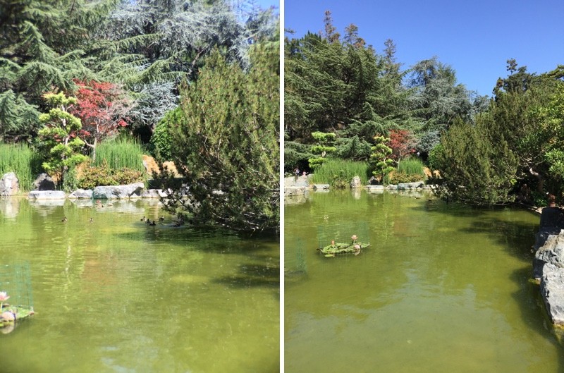 wideanglecomparison