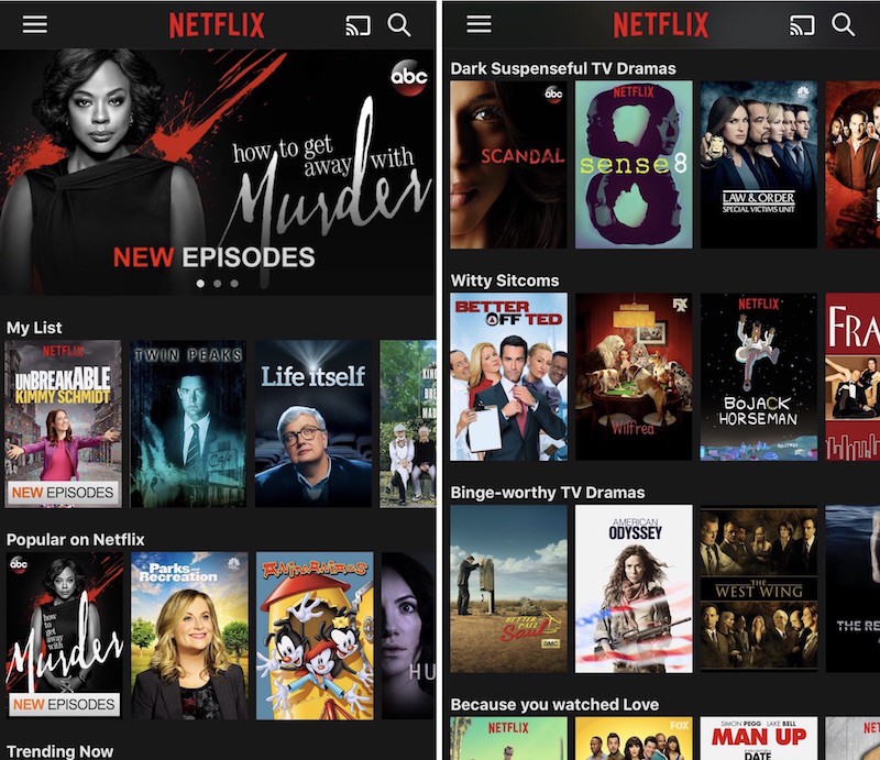 Netflix iOS app