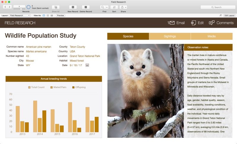 filemaker2