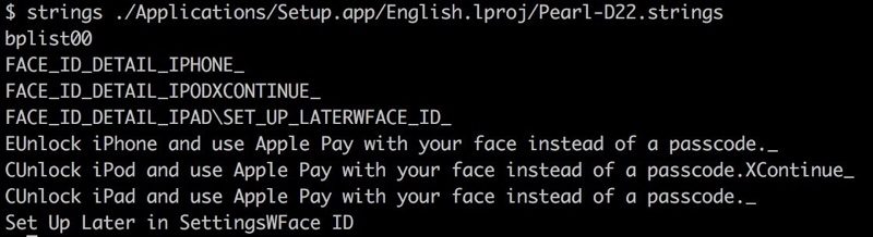 faceidipad