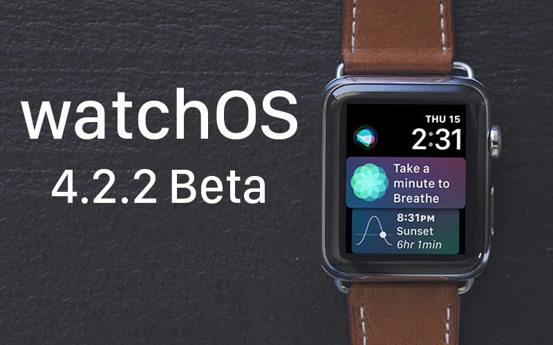 watchos422beta