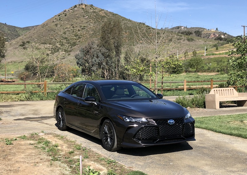 2019 toyota avalon