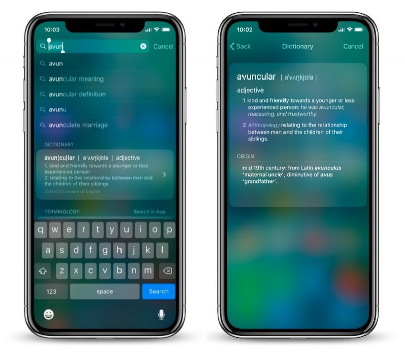 ios 11 dictionary 1