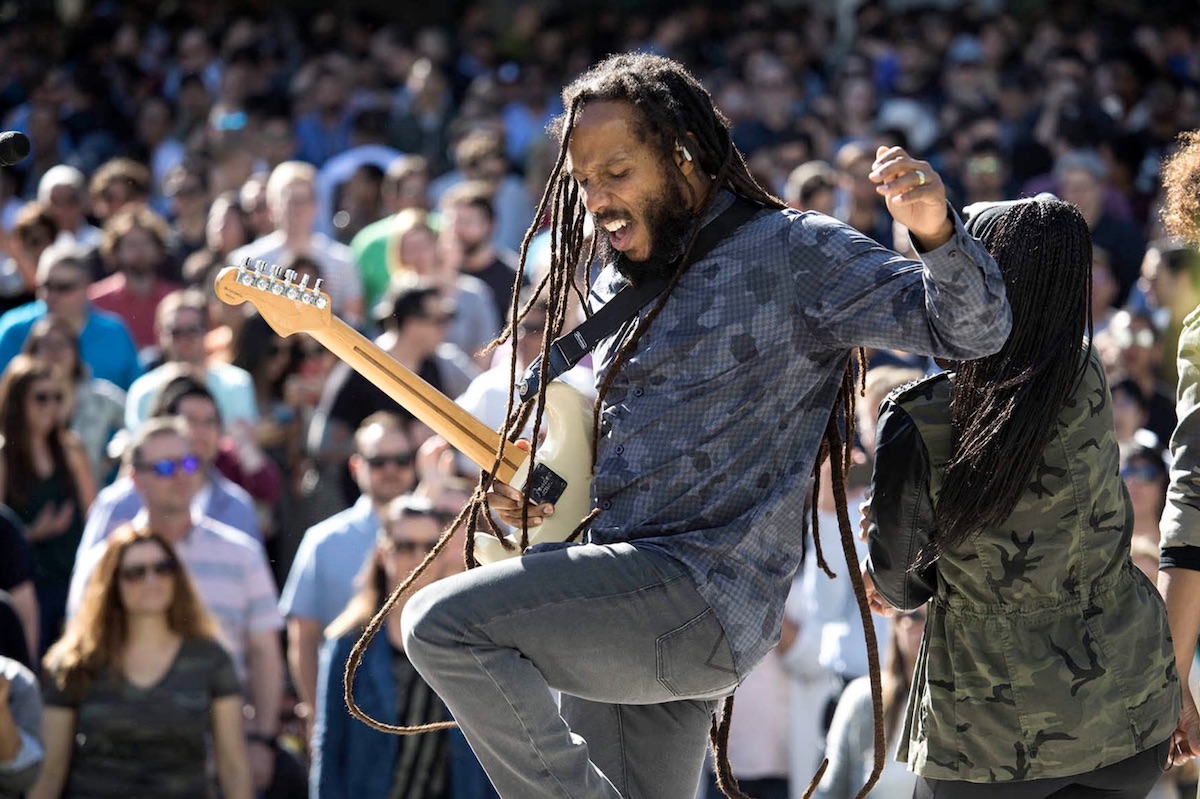 ziggy marley apple beer bash