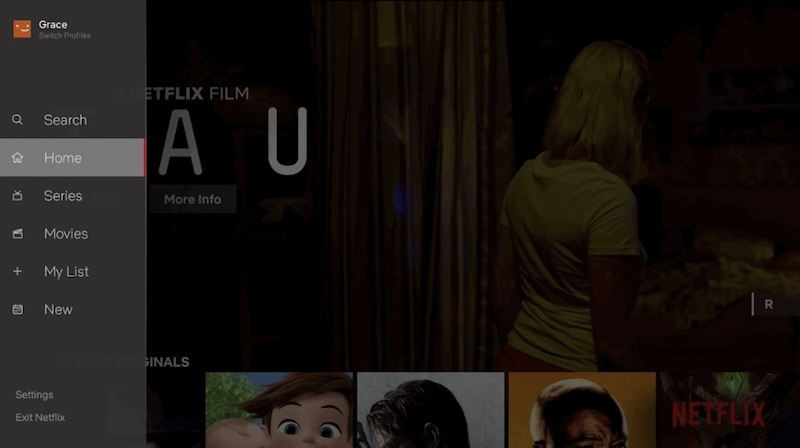 netflix new interface