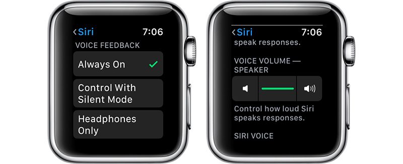 sirioptionsapplewatch