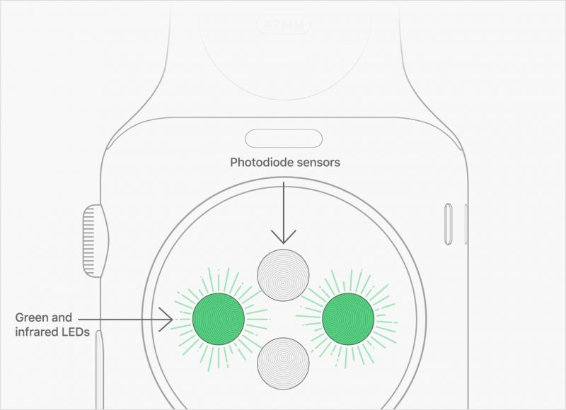 watch measure sensors