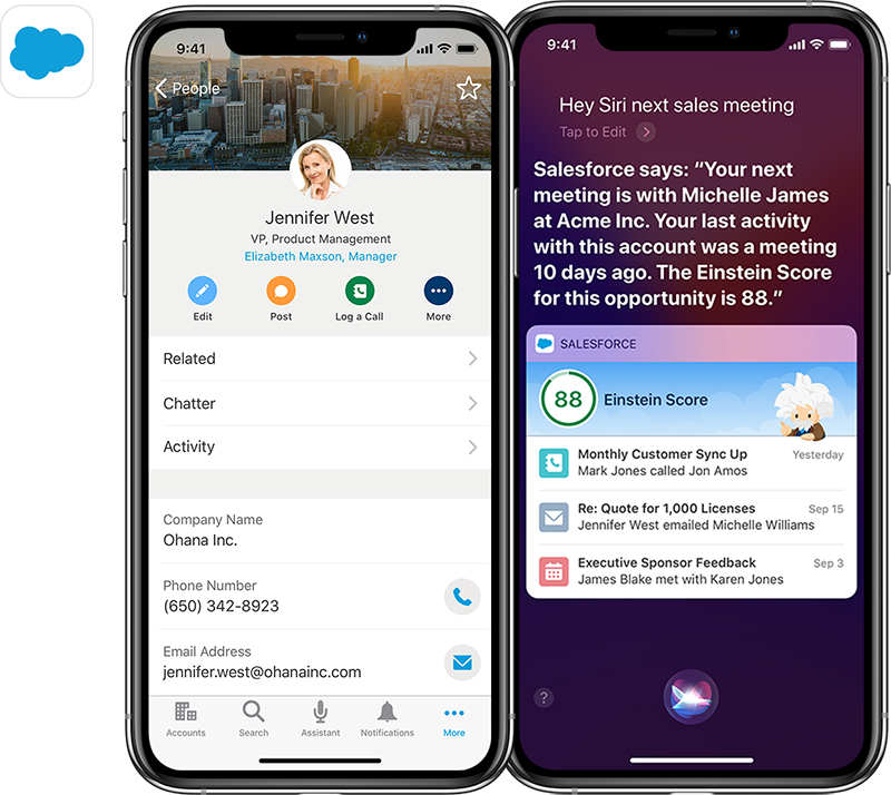 apple salesforce duo