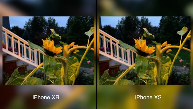 Camera Comparison Iphone Xr Vs Iphone Xs Max Macrumors