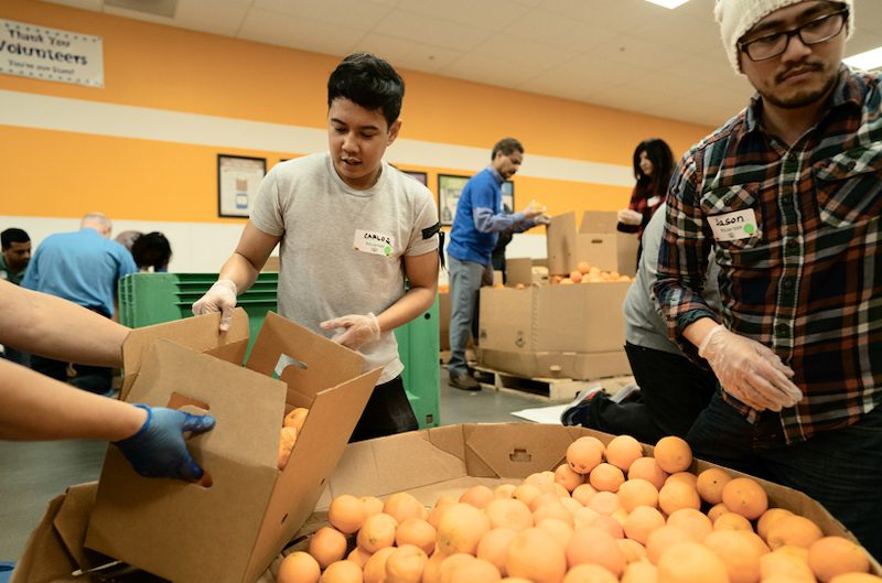 apple volunteers second harvest