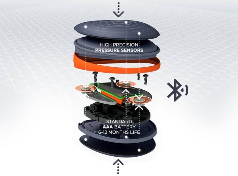 activ5insides