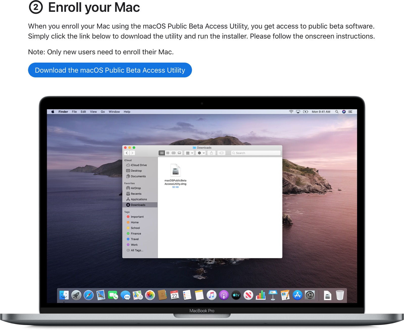 macos developer beta access utility download