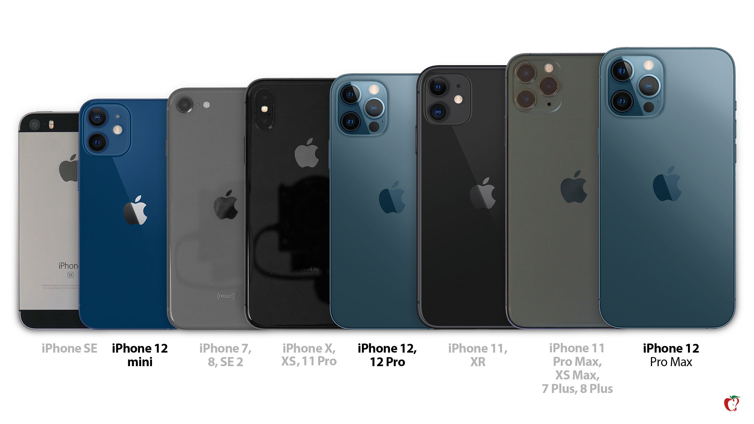 iPhone 12, Mini, and Max Size Comparison: All iPhone Models Side by Side -  MacRumors