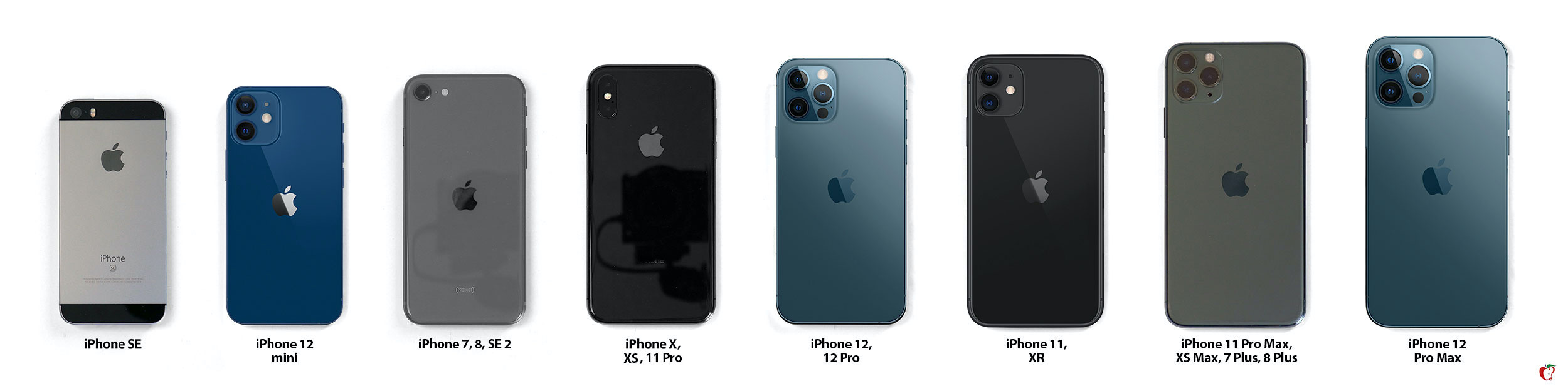 iPhone 12, Mini, and Max Size Comparison: All iPhone Models Side by Side -  MacRumors