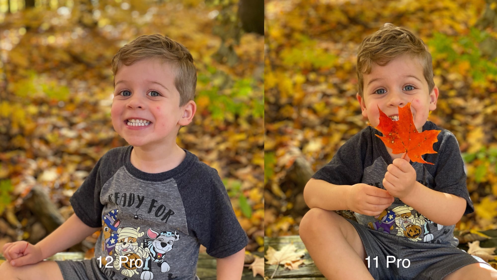 Pcvesti Camera Comparison Iphone 12 Pro Vs Iphone 11 Pro