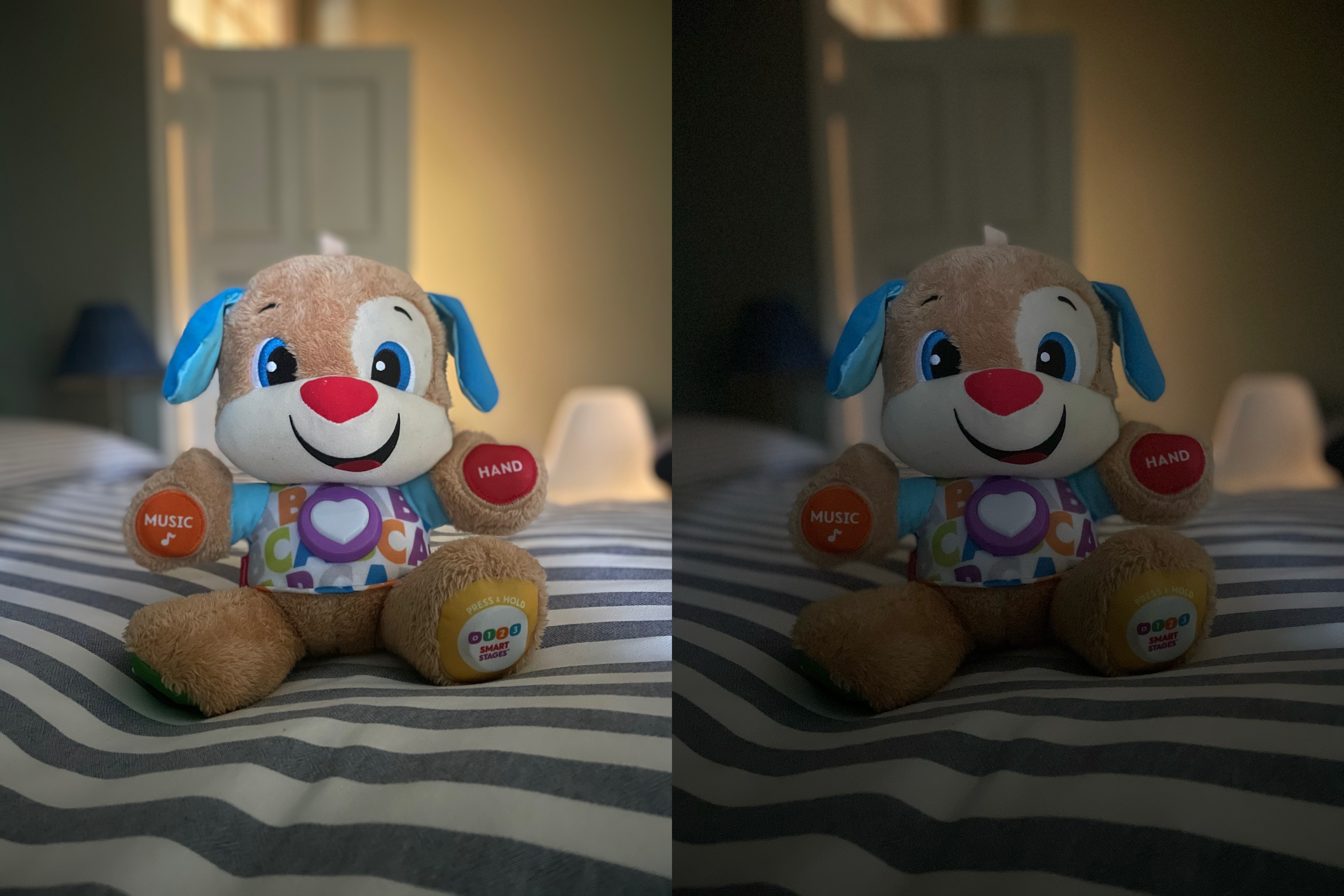 portrait night mode vs non night mode