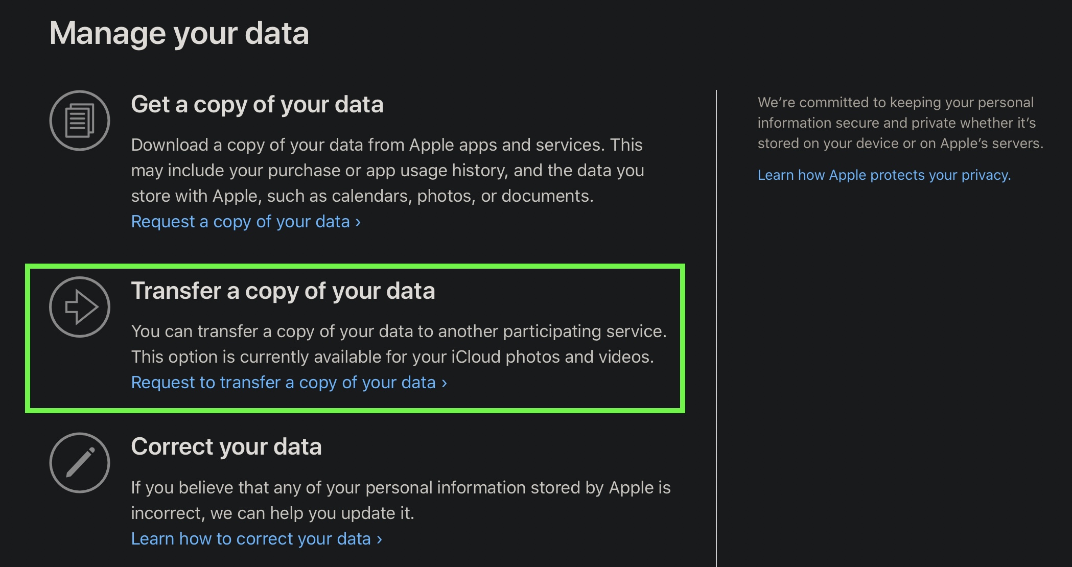 download particular video from icloud