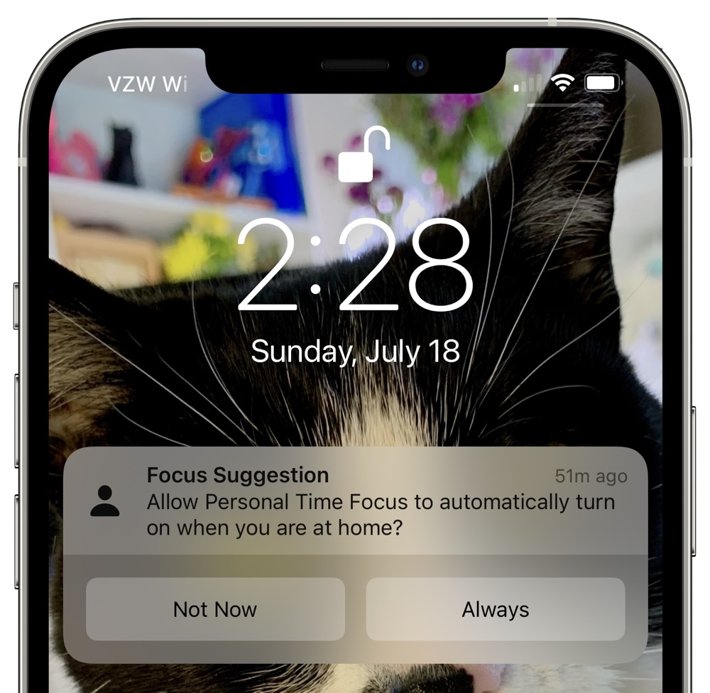 ios 15 focus suggestions