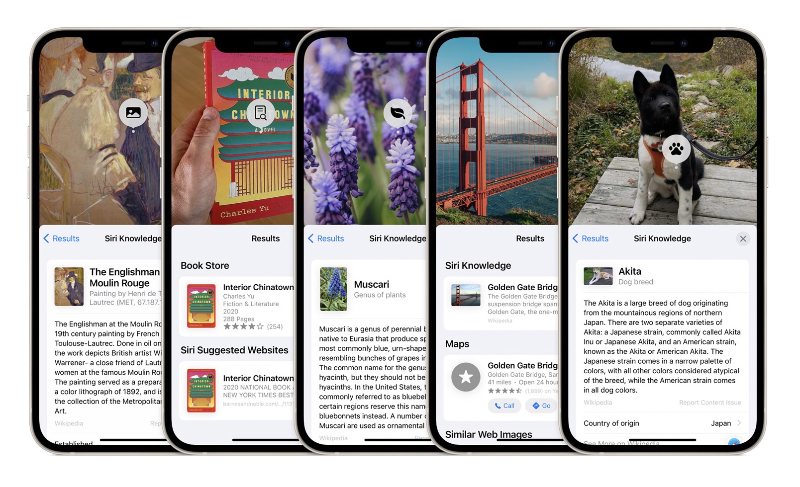 iOS 15: How to Use Visual Lookup in Photos to Identify Landmarks, Plants,  and Pets - MacRumors