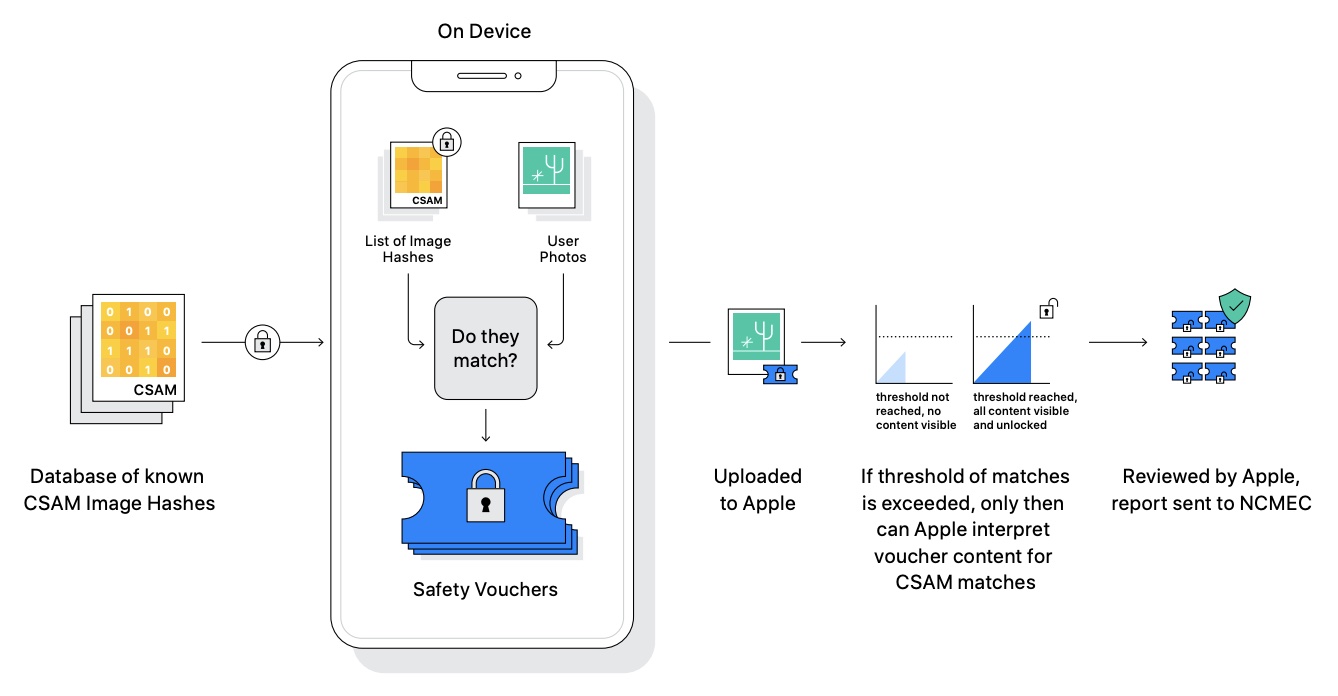 organigramme apple csam