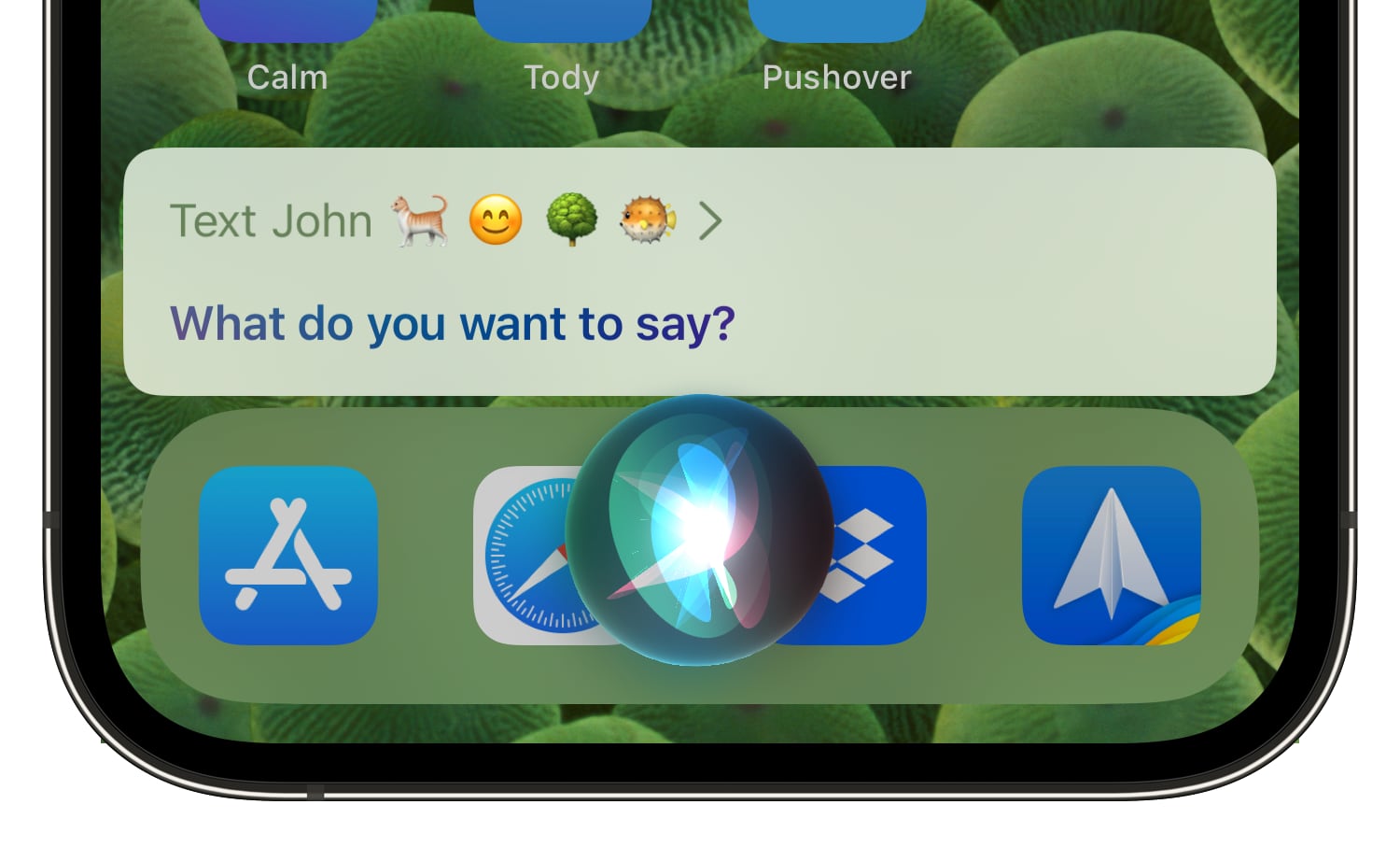 How to insert an emoji with Siri or Dictation on iPhone