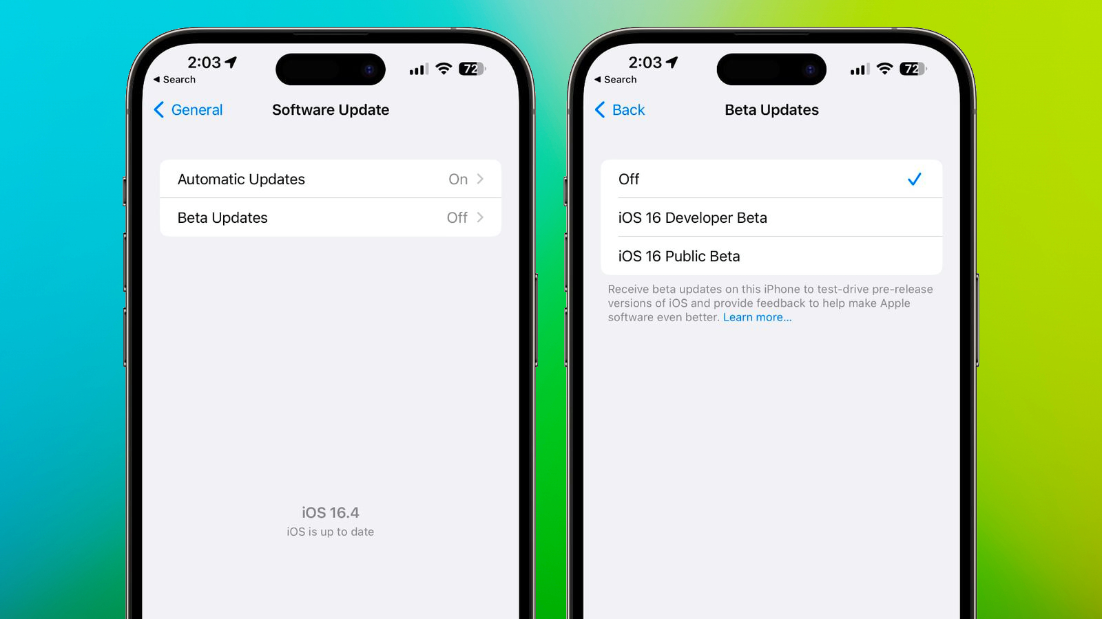 iOS 16 4 Beta Updates Menu