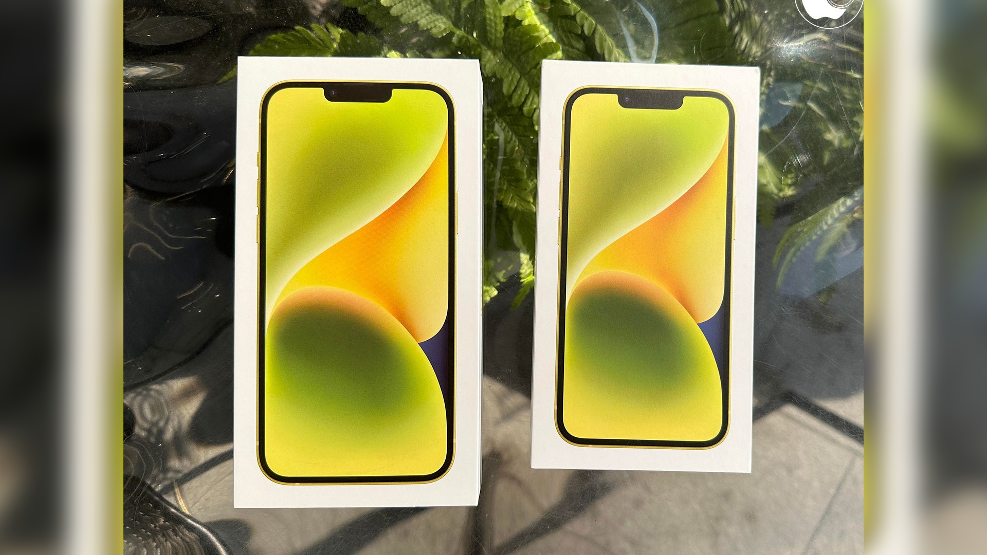 Yellow iPhone 14 Unboxing Videos Shared Ahead of Next Week’s Launch