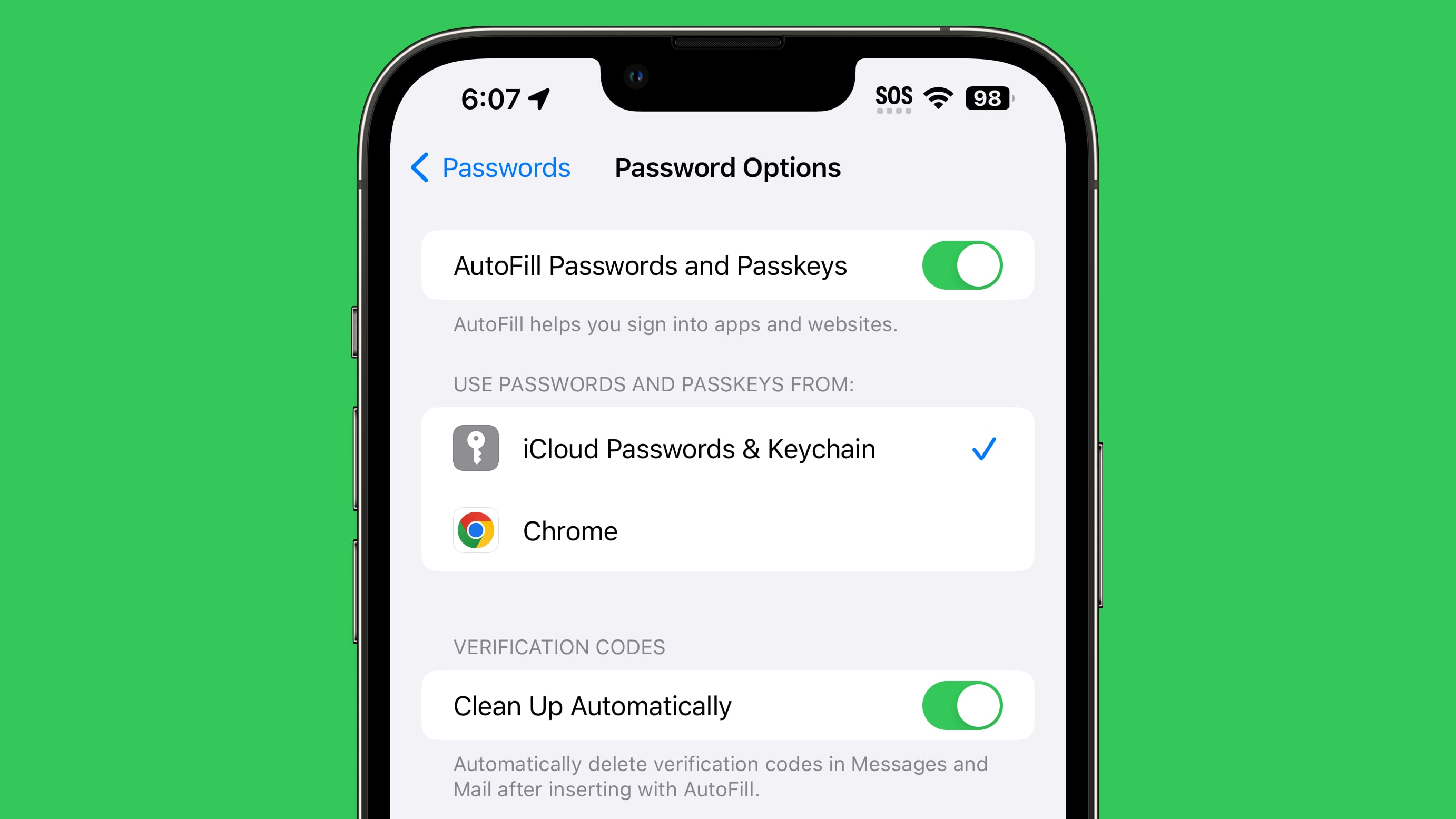 verification code clean up ios 17