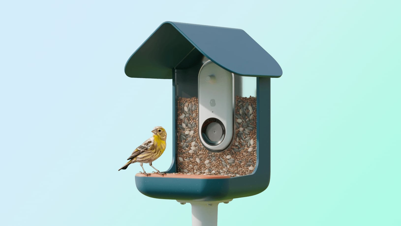 Bird Buddy is a Fun iPhone-Connected Smart Bird Feeder