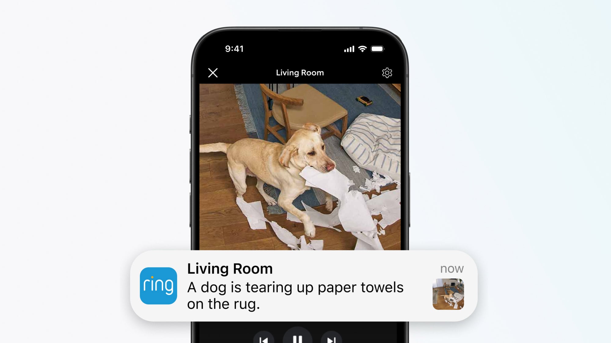 Ring Adds AI Video Descriptions to iPhone App Notifications