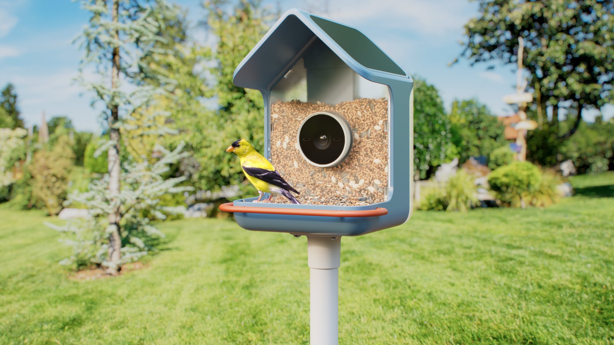 CES 2026: Birdbuddy Debuts New Smart Bird Feeders
