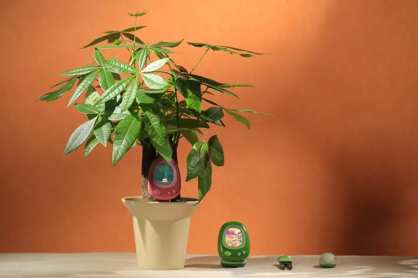 CES 2026: Senso Is a Smart Plant Sensor With an AI Tamagotchi
