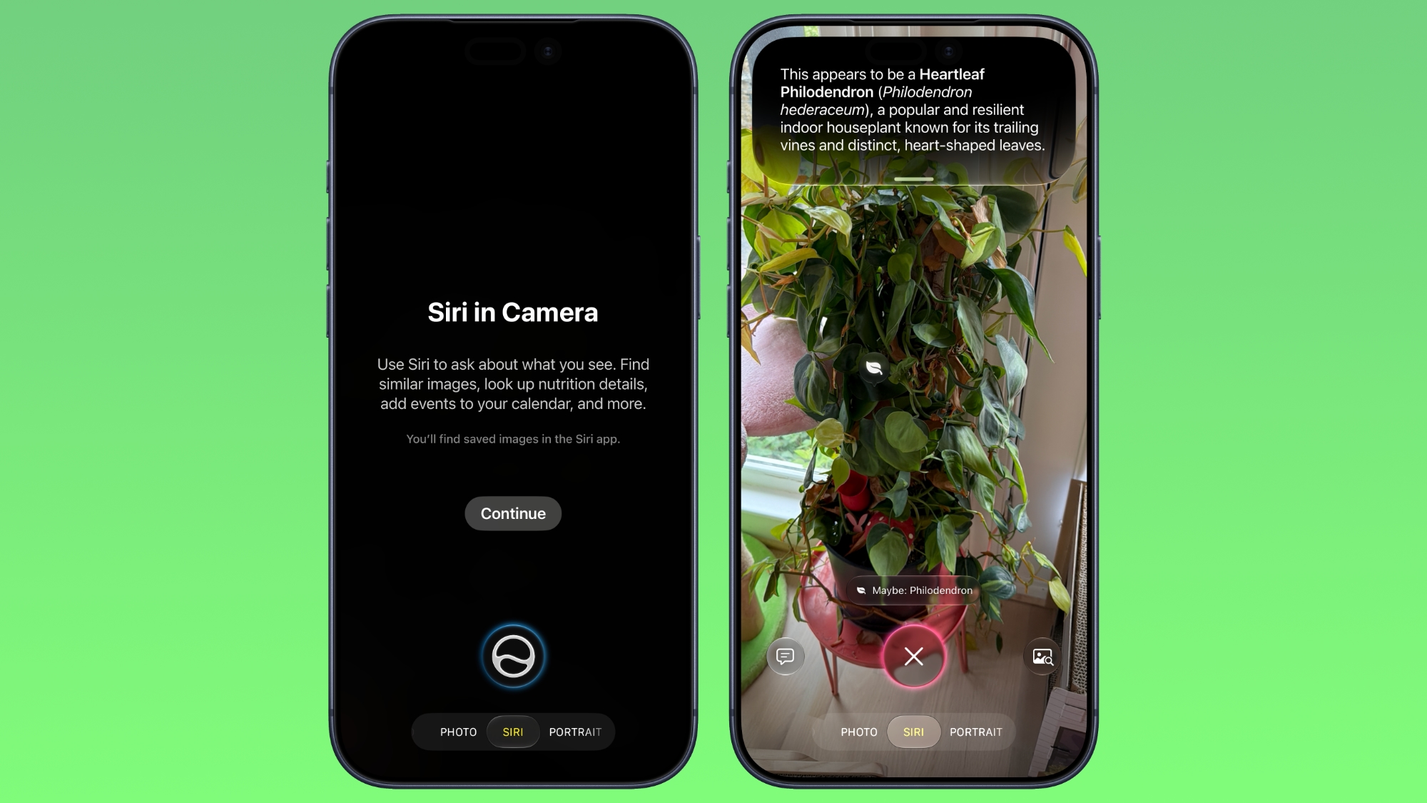 iOS 27 Camera App Gets Siri Mode, Updated UI