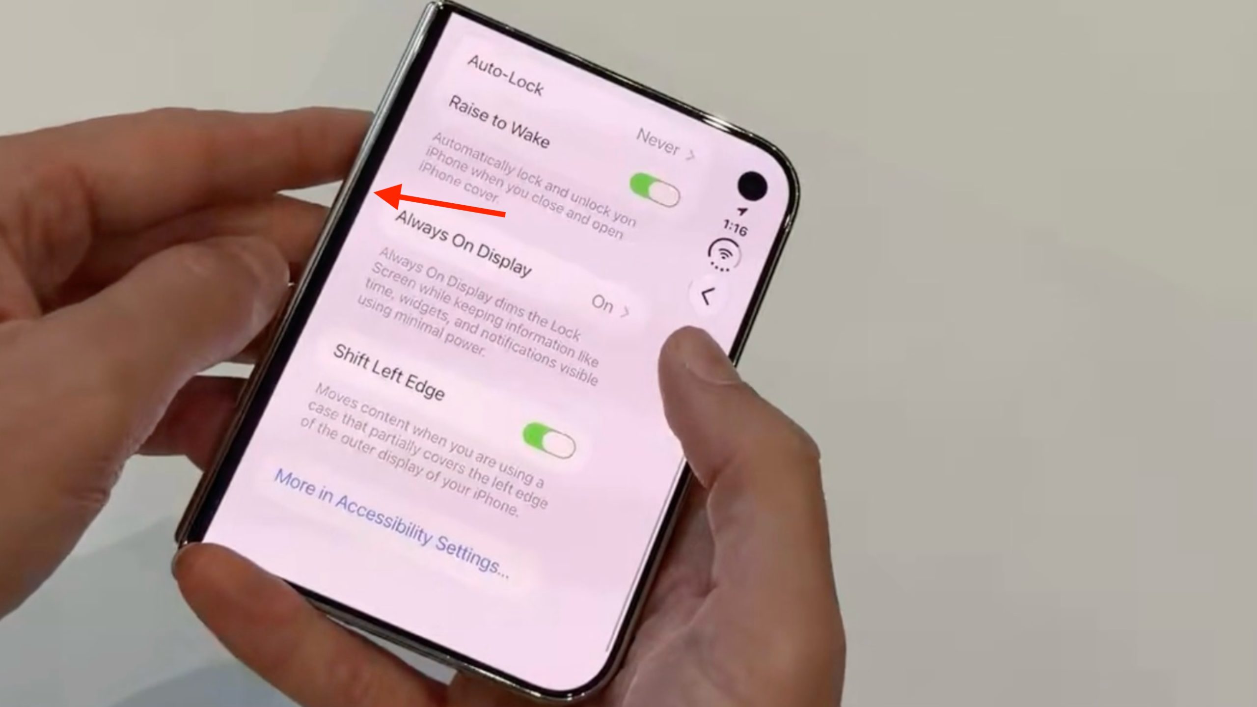 iPhone Duo Has a Hidden Display Setting for Case Compatibility