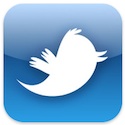 132535 twitter ios icon