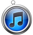 144029 safari itunes icon