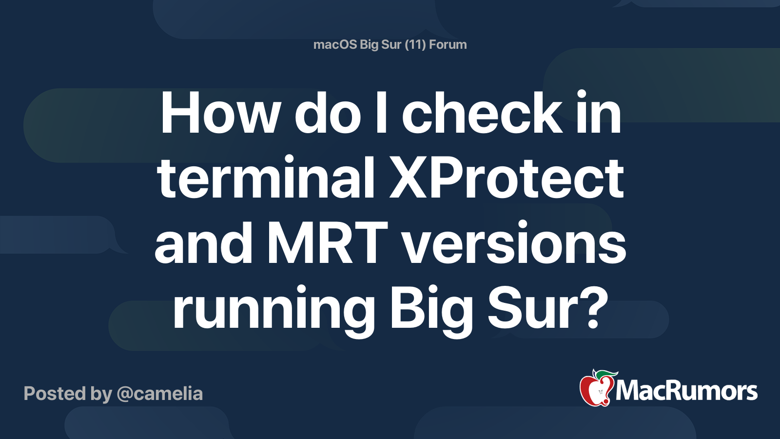 How Do I Check In Terminal XProtect And MRT Versions Running Big Sur