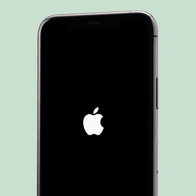 iPhone Apple Logo Boot