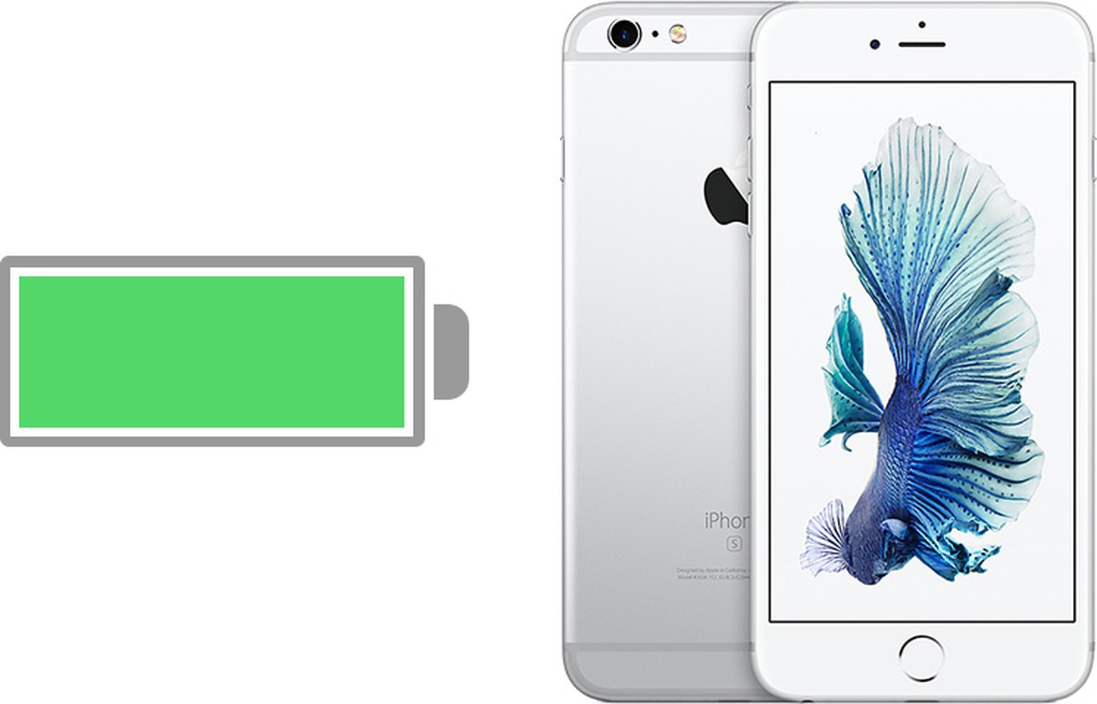 how to update email password on iphone 6s plus