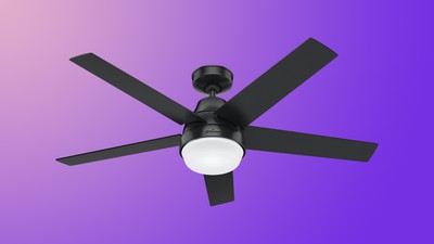 purple hunter fan feature