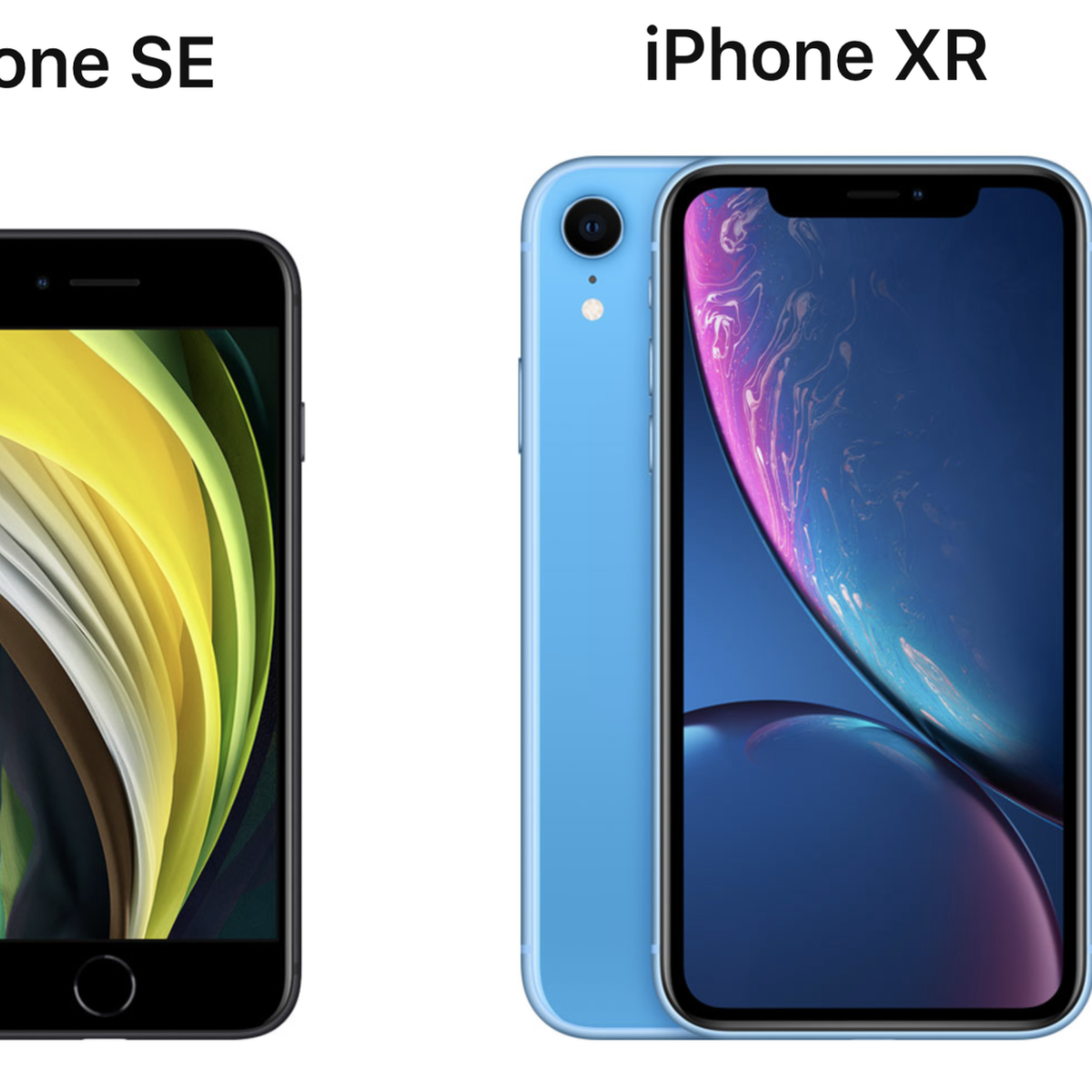 Why does the blue iphone xr not have some text below iphone like the  white one? : r/iphone