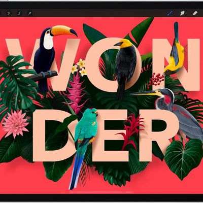 procreate typography