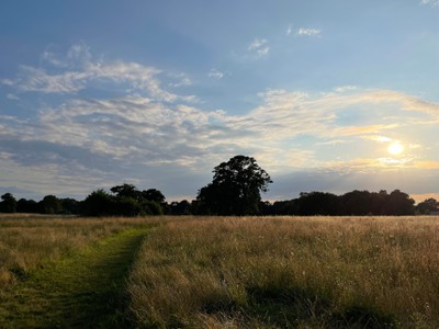 ios 15 sin destello de lente